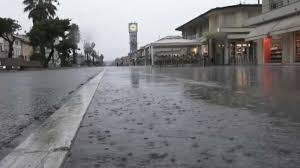 Trend Google: empoli