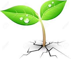 Image result for clipart fissures