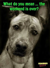 Sunday Night Blues | Office Humor | Pinterest | Sunday Night ... via Relatably.com