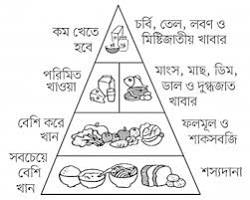 ফল, শাকসবজি, শস্যদানা, মাছ, মাংস, দুগ্ধজাত খাবার