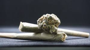 Mint - News update