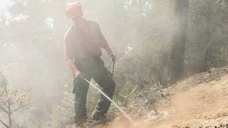 Summerland fire downgrades 22% of 5,500 evacuation orders to alerts as BC wildfire remains out of control; mayor warns winds could change