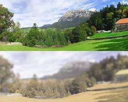 Human visual acuity vs Cat visual acuity