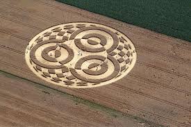 Field work – is it time Mike Leigh made a film about crop circles? - Apollo Magazine