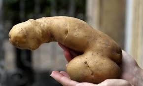 images?q=tbn:ANd9GcTUpk2YNZOx_-Y6WjIqOQqQ6K51WFM1rvs7DTRqWiUaAoty1l-l