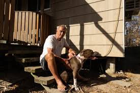 News source: The Guardian