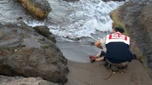 Resultado de imagen para imagenes de aylan
