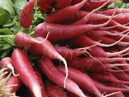 Image result for radishes