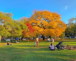 Fall Colours in Toronto