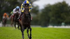 Racing Post - News update