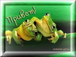 Похожее изображение