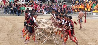 Image result for nagaland images