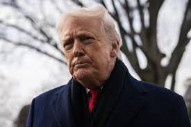 Trump Sets Fraudster Free From Prison for a Second Time