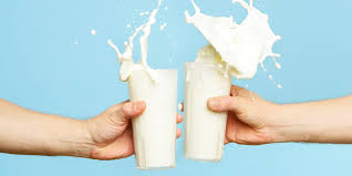 Resultado de imagem para leite LIQUIDO