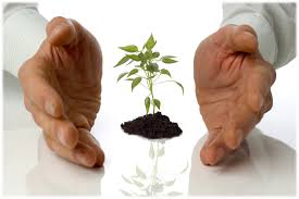 Αποτέλεσμα εικόνας για therapy