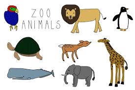 Image result for zoo animals clip art