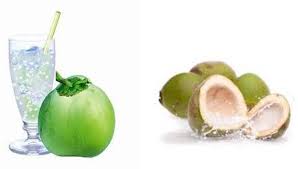 Image result for images of coconut water