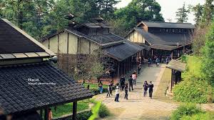 「鹿谷內湖國小」的圖片搜尋結果