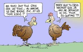 R&eacute;sultats de recherche d'images pour &laquo;&nbsp;animaux drole&nbsp;&raquo;