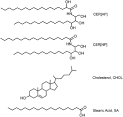 Ceramide np