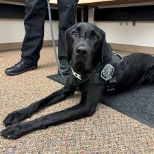 Battle Ground University | Battle Ground, WA - Official Website