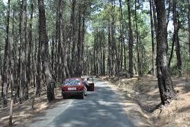 Image result for palampur images