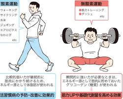 有酸素運動の画像