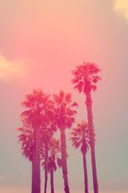 Résultat de recherche d'images pour 