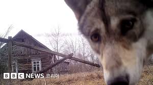 체르노빌 원자력 발전소 사고