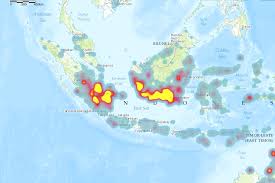 Resultat d'imatges de borneo fires