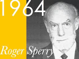 In 1964, neuropsychologist Roger Sperry drew an analogy between neurons and ideas: - CM_sperry