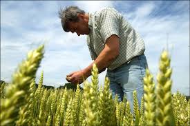 Resultado de imagen de agricultores