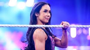 WWE Star Manifesting AJ Lee Rematch 13 Years In The Making