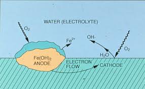 Image result for ehsq nagarjuna group