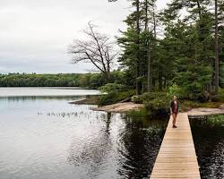 Dogfriendly hiking trails in Muskoka