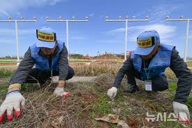 무안국제공항 아이콘