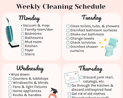 Image of Cleaning routine