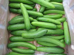 Image result for cucumbers