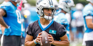 panthers training camp brawl Picture