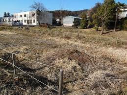 「Kanuma soil」の画像検索結果