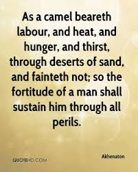 Camel Quotes - Page 2 | QuoteHD via Relatably.com