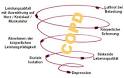 Copd lebenserwartung