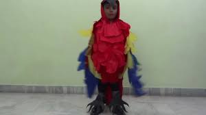 Image result for macaw parrot hd