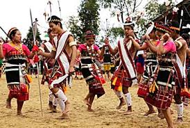 Image result for nagaland images