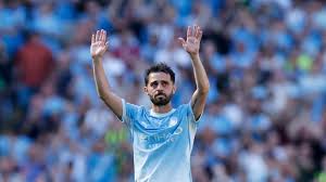bernardo silva Picture