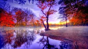 Image result for image pemandangan cantik