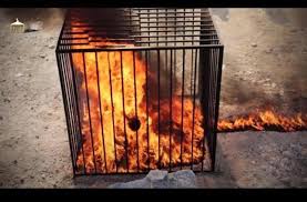 Image result for jordanian pilot burned to death