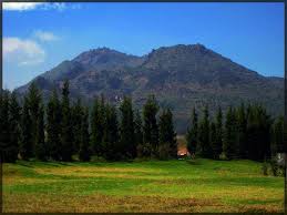 Hasil gambar untuk pecinta alam indonesia