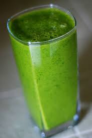 Image result for moringa tree benefits for health