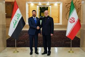 نخست‌وزیر عراق با رییس مجلس دیدار کرد